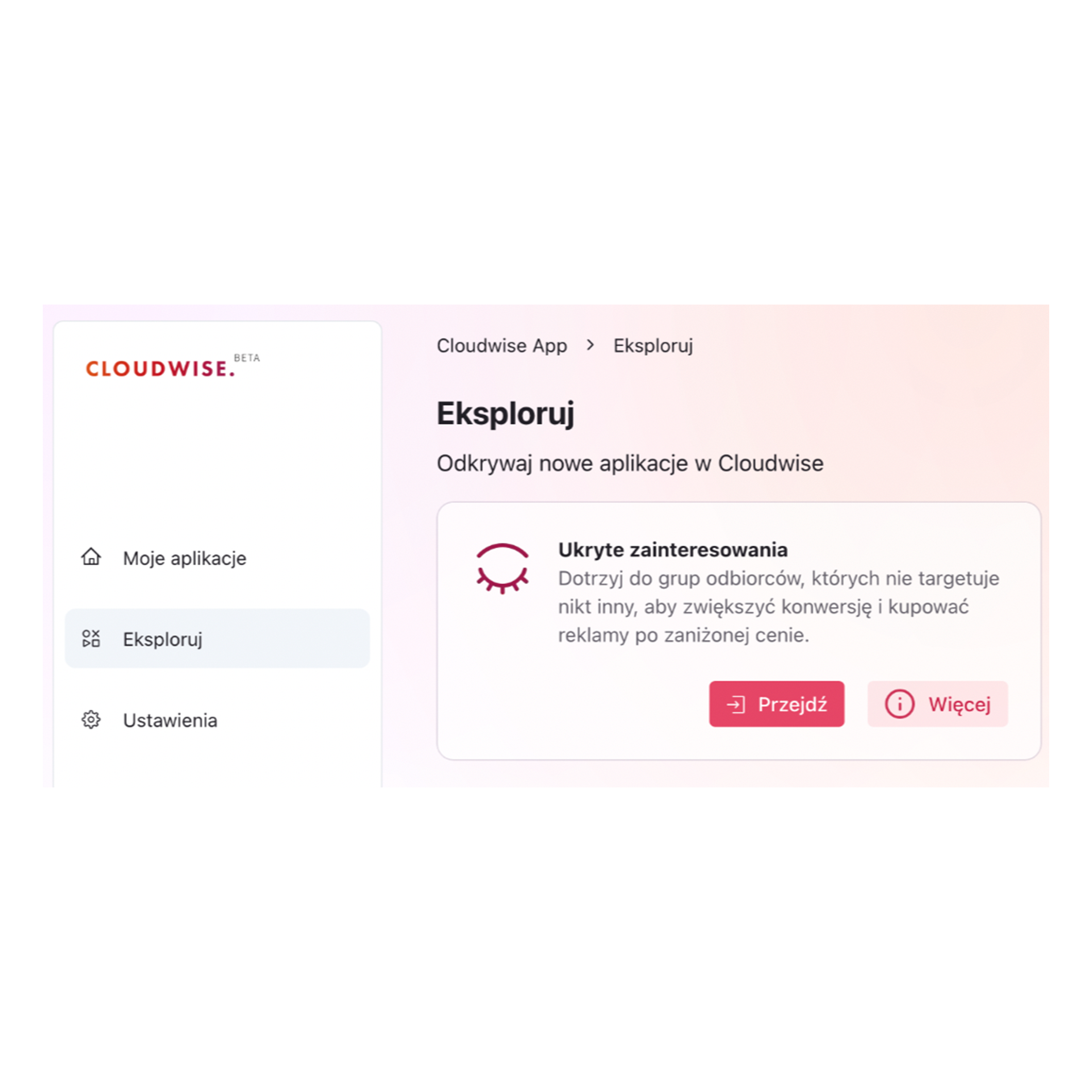 Cloudwise - Wyszukiwanie ukrytych zainteresowań w Meta Ads